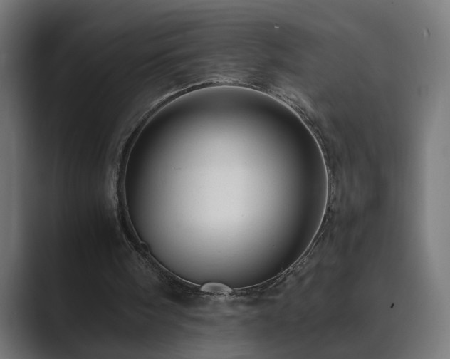 X0000089950098200706291219