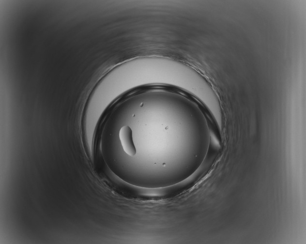 X0000089950099200706291219