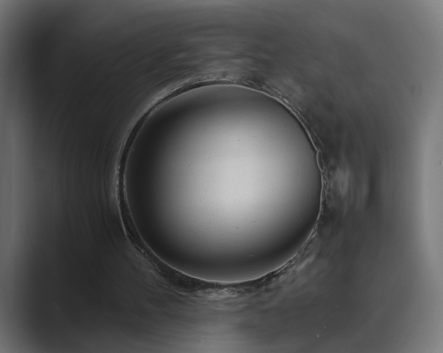 X0000089950100200706291219