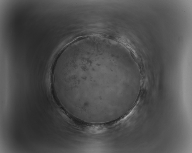 X0000089950101200706291219