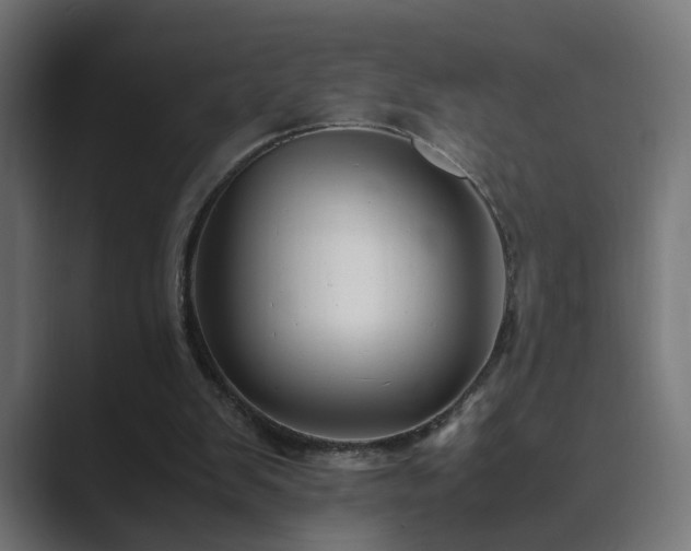 X0000089950103200706291219