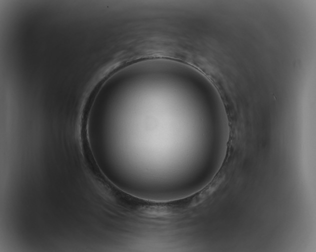 X0000089950104200706291219