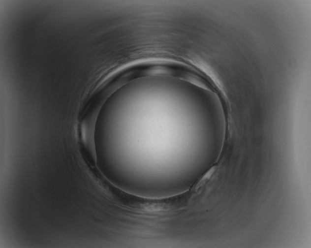 X0000089950105200706291219