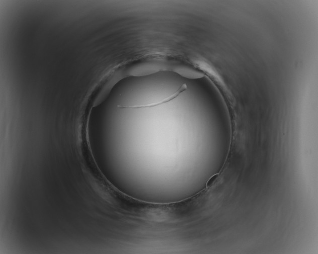 X0000089950106200706291219
