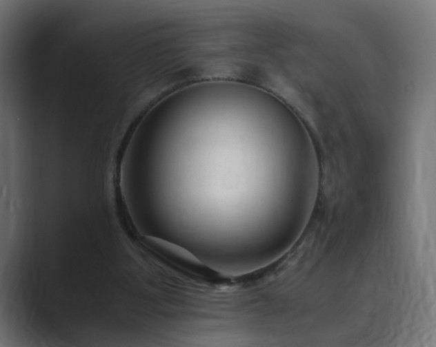 X0000089950107200706291218