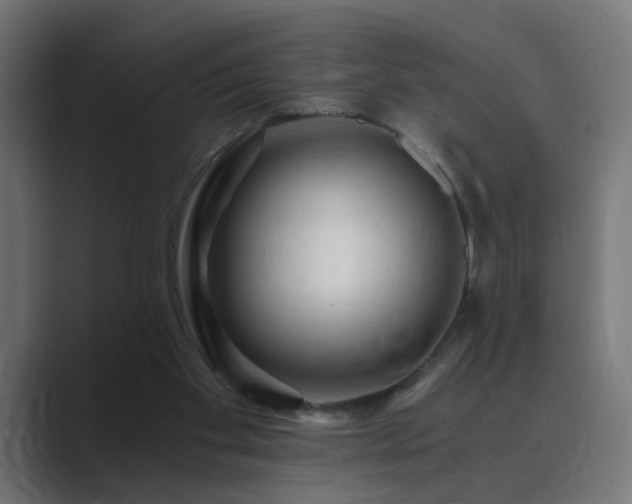 X0000089950109200706291218