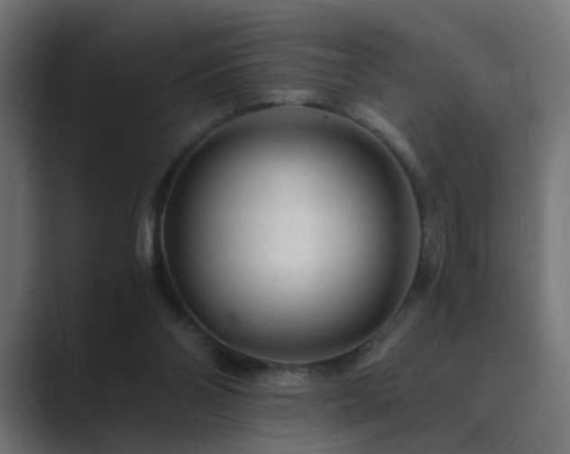 X0000089950110200706291218