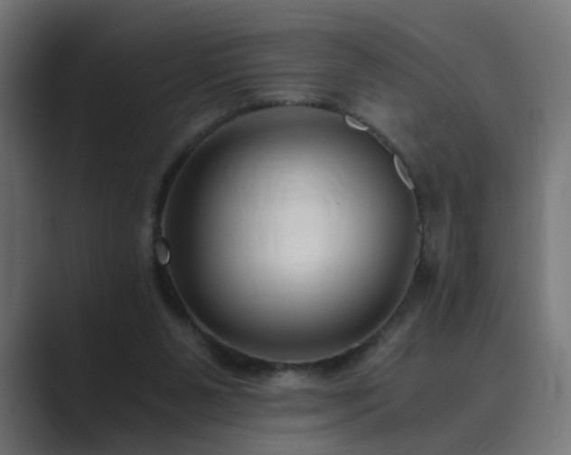 X0000089950111200706291218