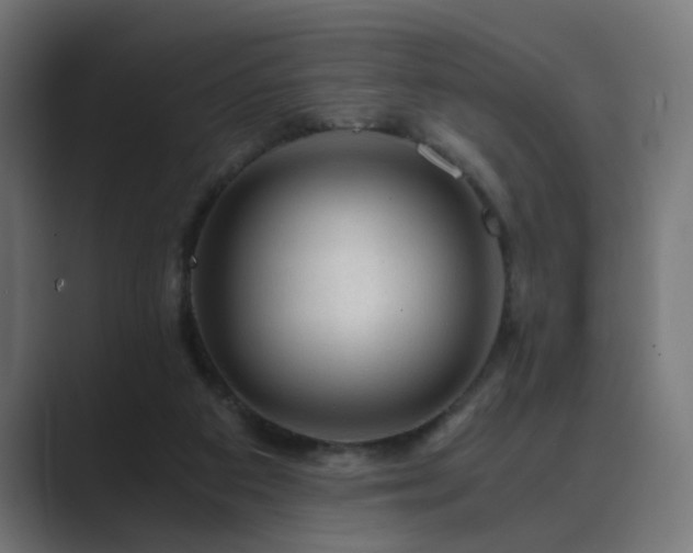 X0000089950113200706291218