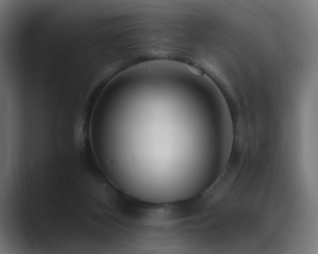 X0000089950116200706291218