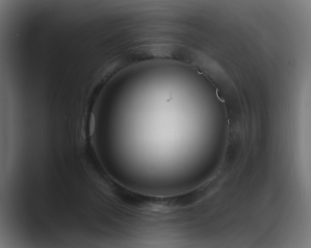 X0000089950120200706291218