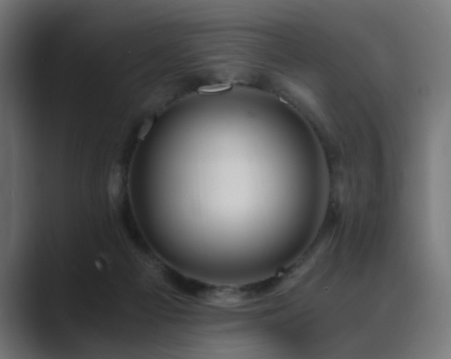 X0000089950121200706291218