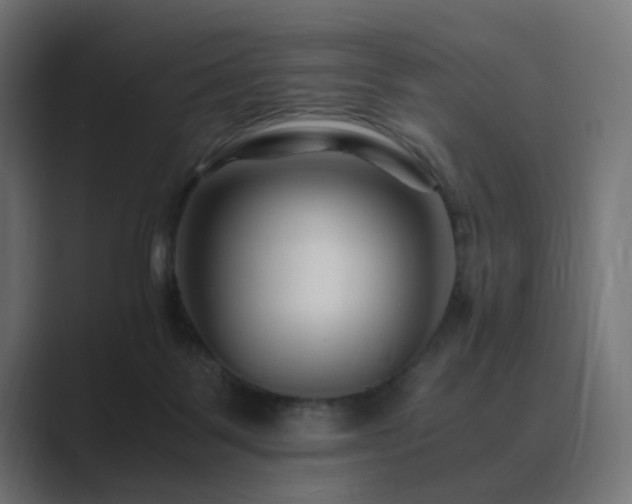 X0000089950123200706291218