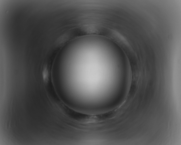 X0000089950124200706291218