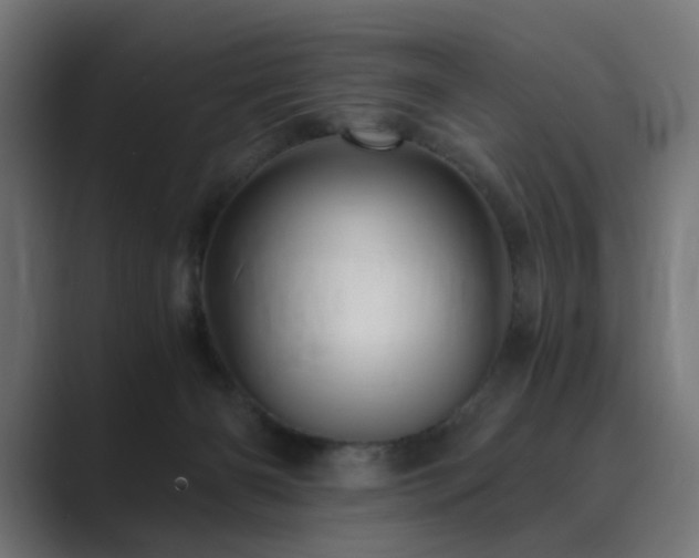 X0000089950126200706291218