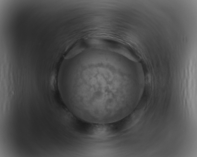 X0000089950127200706291218