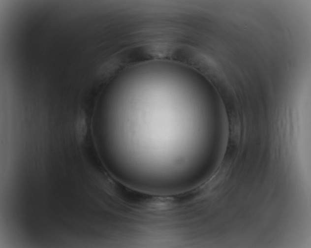 X0000089950128200706291218