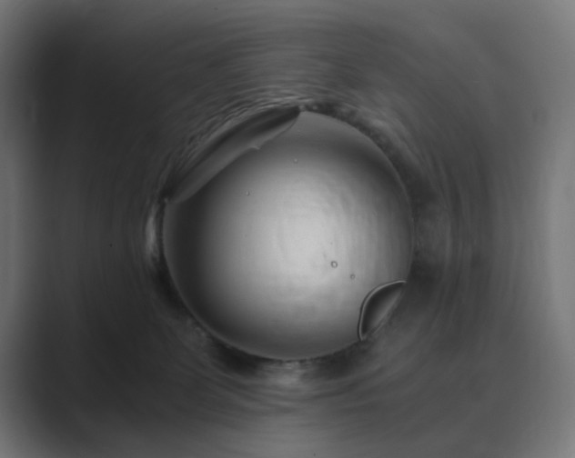X0000089950131200706291218