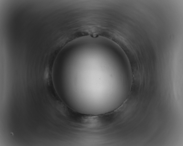X0000089950132200706291218
