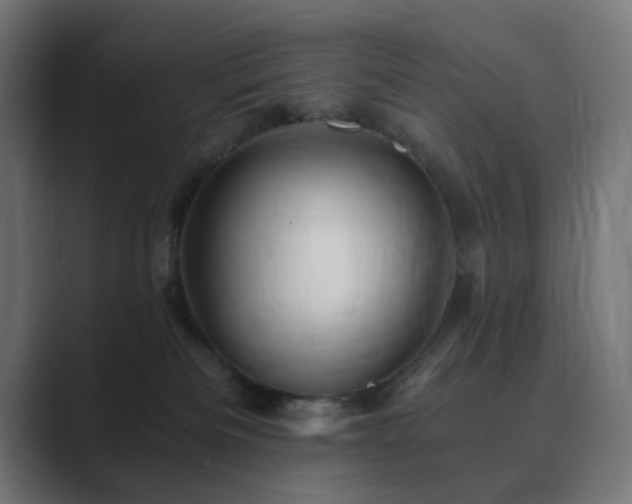 X0000089950133200706291218