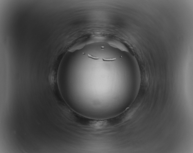X0000089950135200706291218