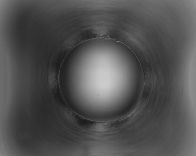 X0000089950136200706291218