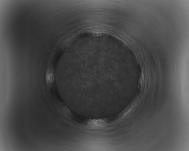 X0000089950137200706291218