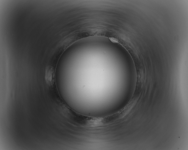 X0000089950138200706291218