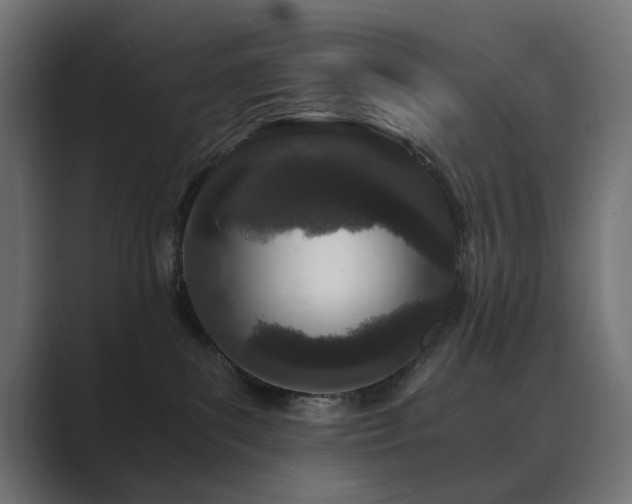 X0000089950139200706291218