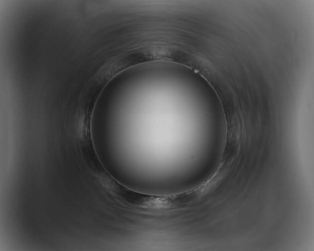 X0000089950140200706291218