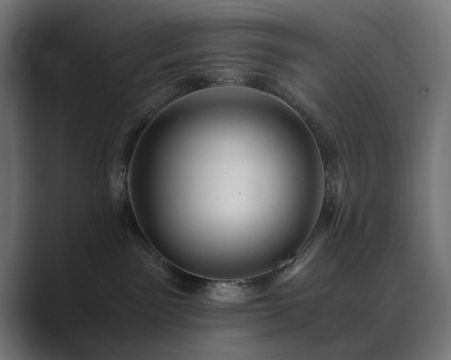 X0000089950141200706291218