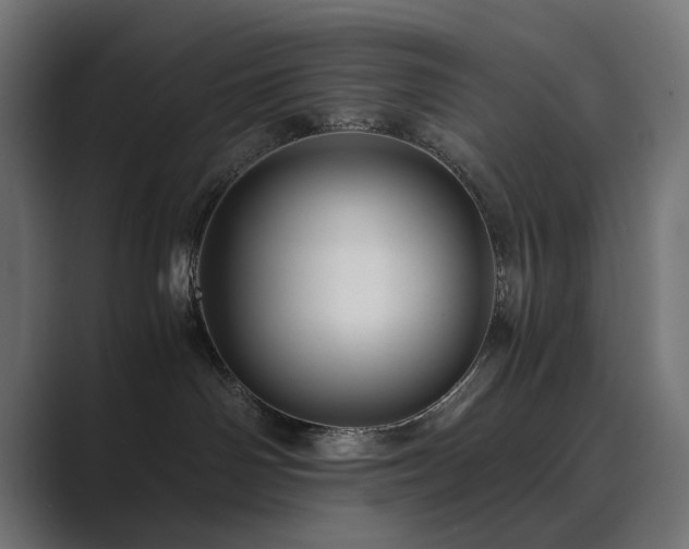 X0000089950142200706291218