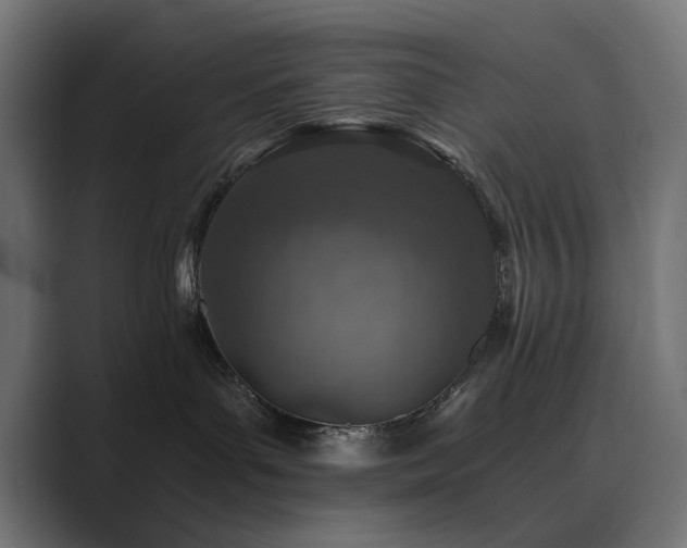 X0000089950143200706291218