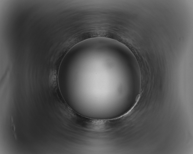 X0000089950144200706291218