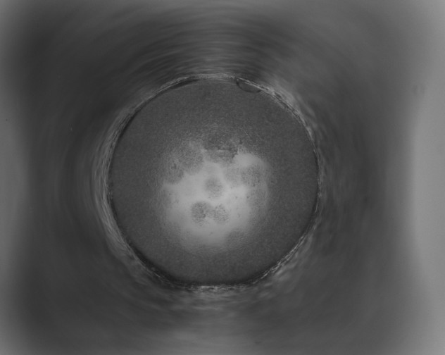 X0000089950145200706291218