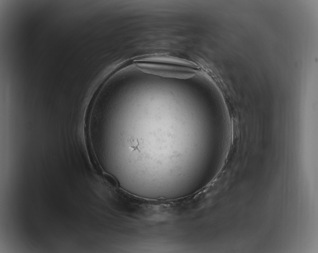 X0000089950147200706291218