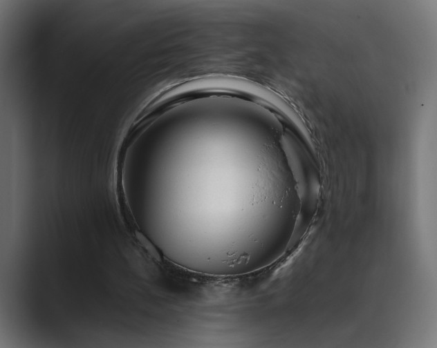 X0000089950148200706291218