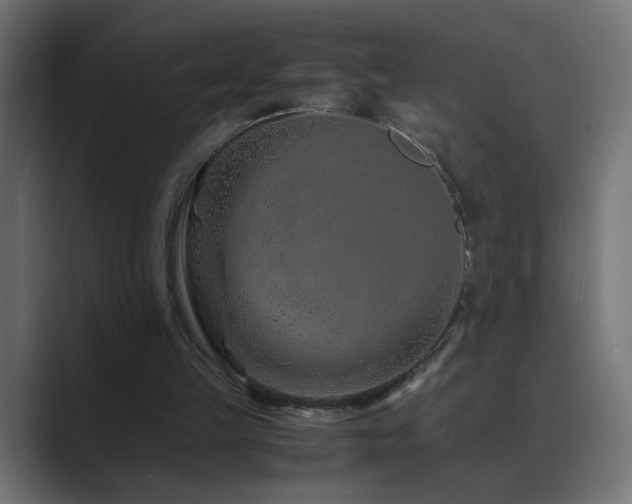 X0000089950149200706291218