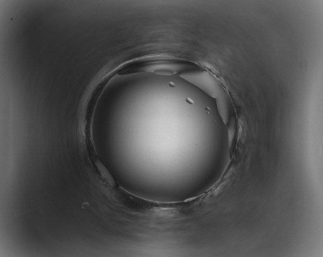 X0000089950150200706291218