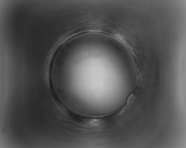 X0000089950151200706291218