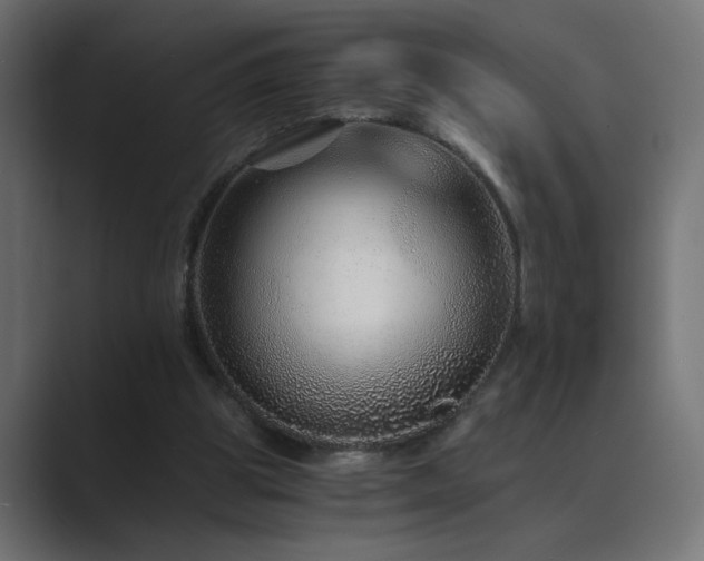 X0000089950153200706291218