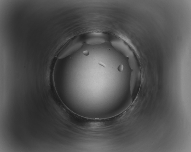 X0000089950154200706291218