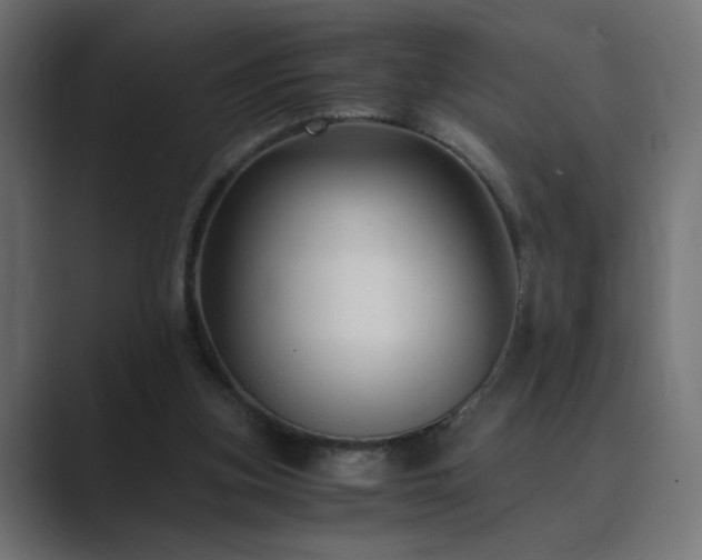X0000089950155200706291218