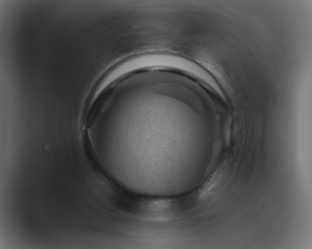 X0000089950156200706291218
