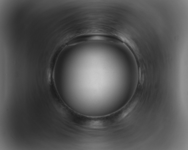 X0000089950157200706291218