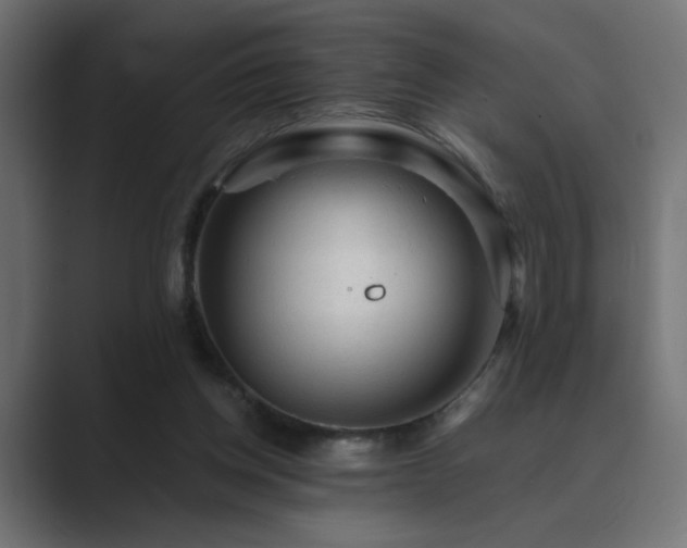 X0000089950158200706291218