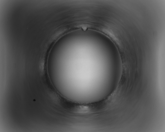 X0000089950159200706291218