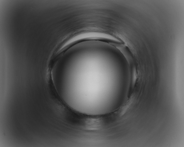 X0000089950160200706291218