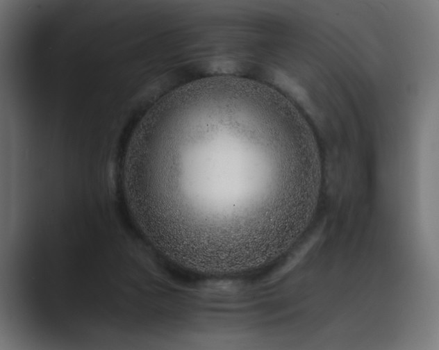 X0000089950161200706291218