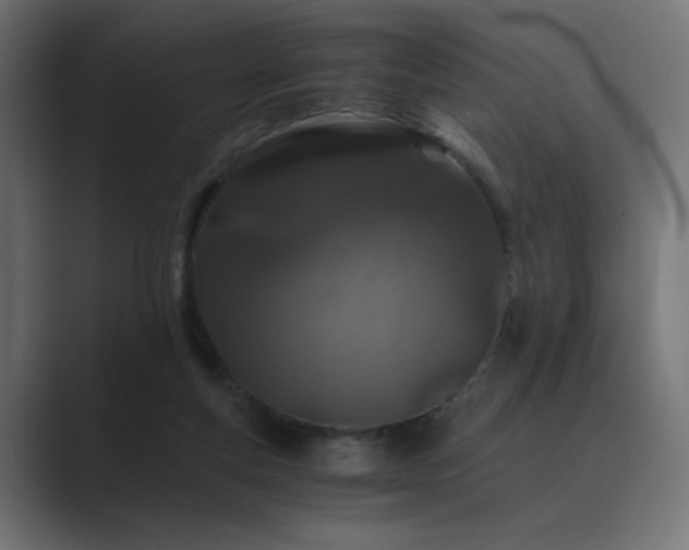 X0000089950163200706291218